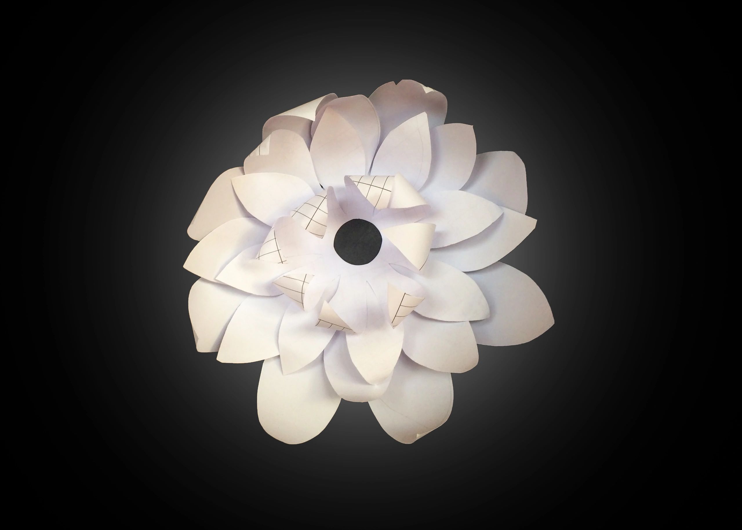 White floral detail on a dark background for elegant wedding inspiration